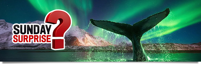 Sunday Surprise Islandia